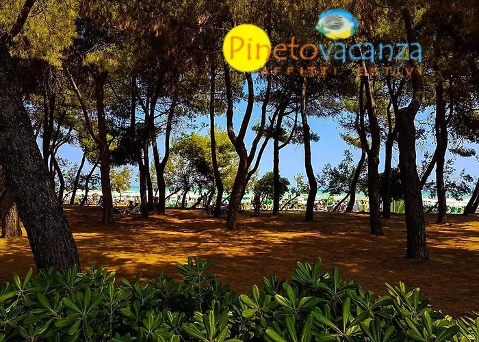 דירה Claudia Int. I - פינטו